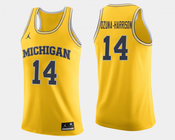 Michigan Wolverines #14 For Men's Rico Ozuna-Harrison Jersey Maize Stitched College Basketball